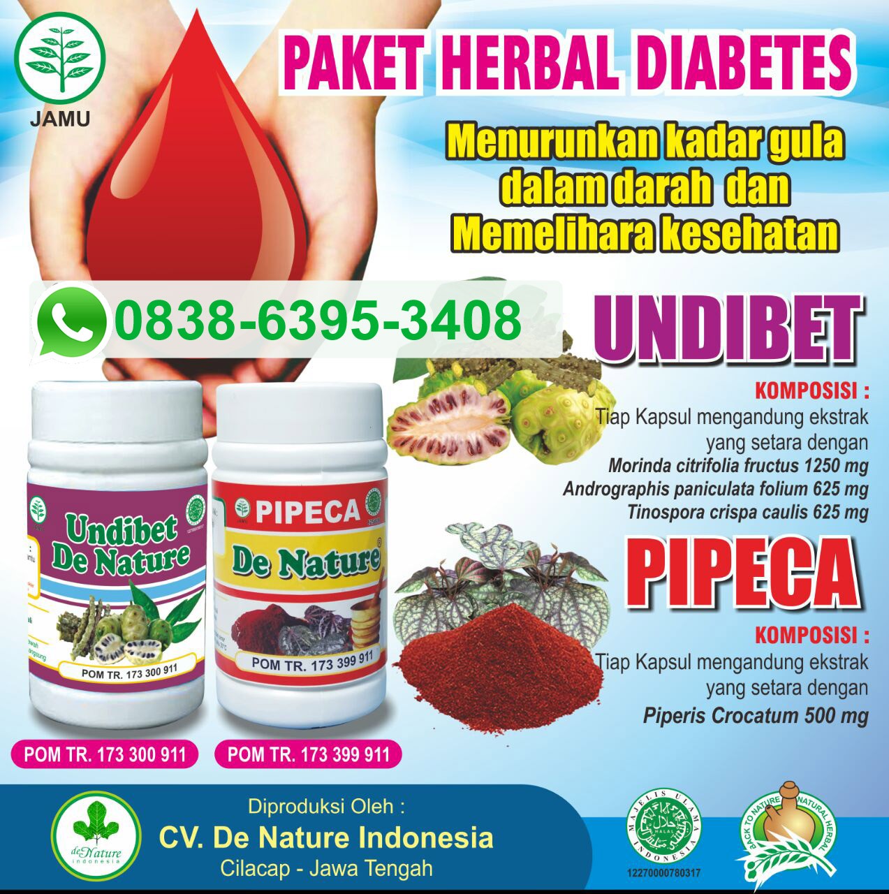 Obat Diabetes dan Kencing Manis De Nature Indonesia OFFICIAL